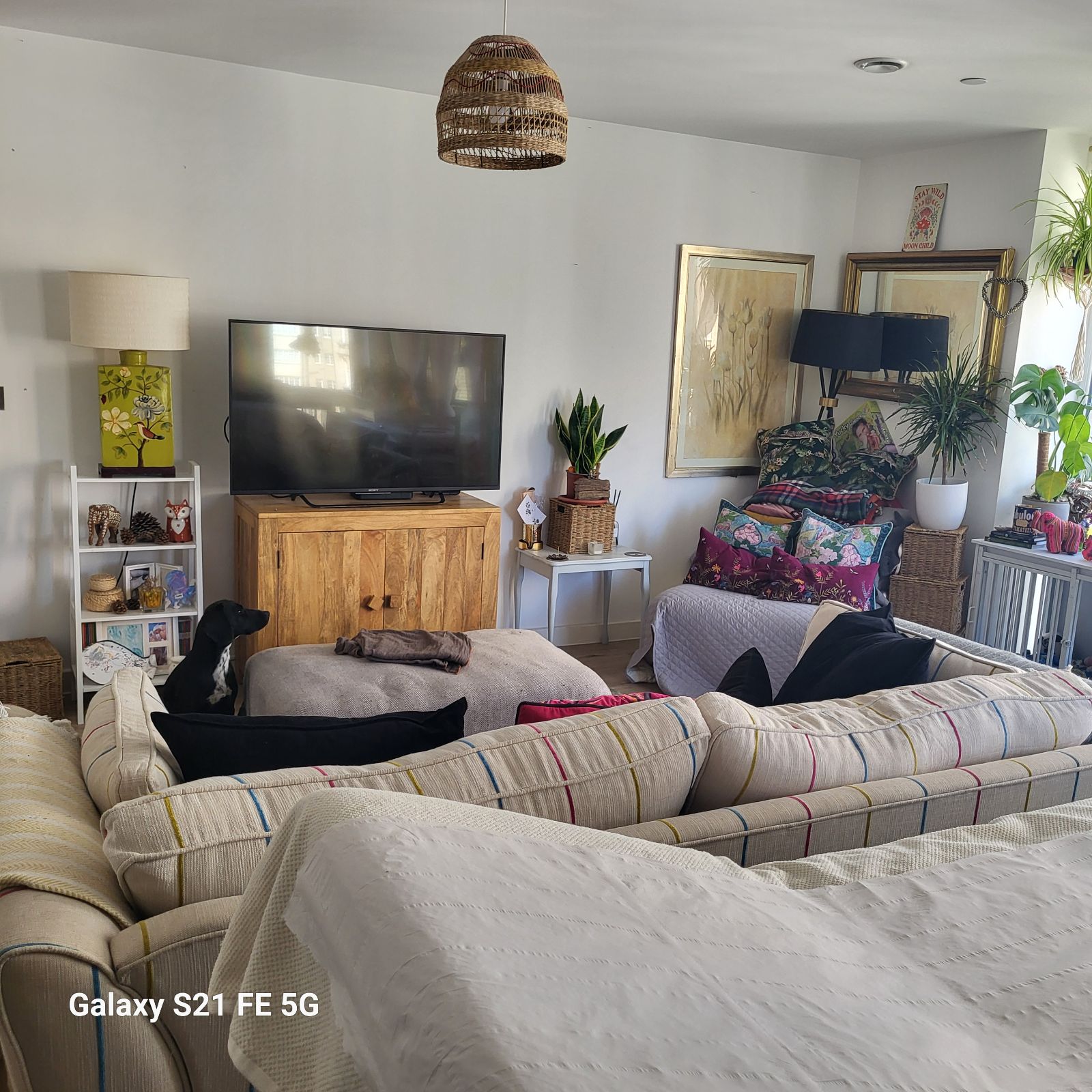Photo of 2 bed flat in Hove