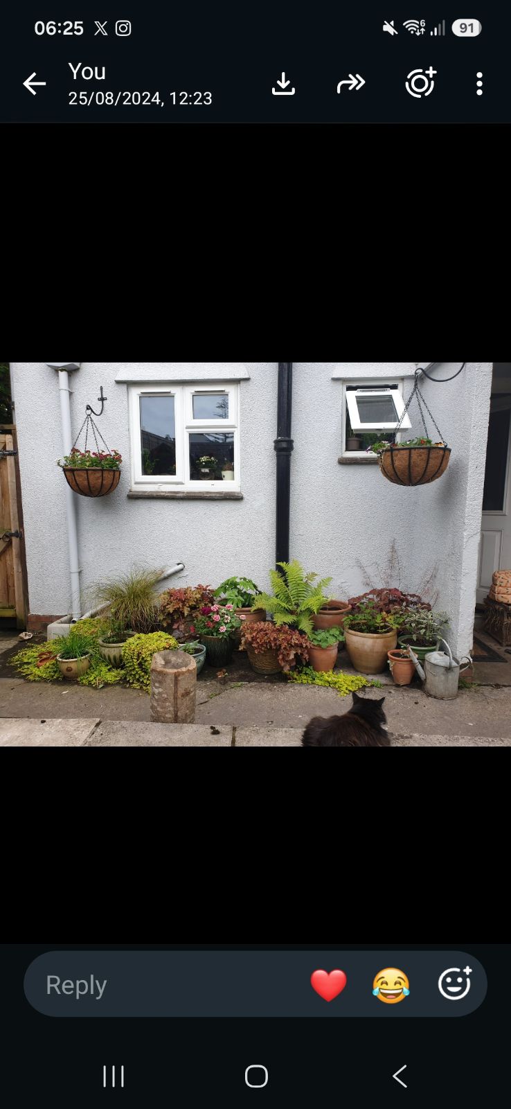 Garden of 3 bed house for mutual exchange in Axbridge