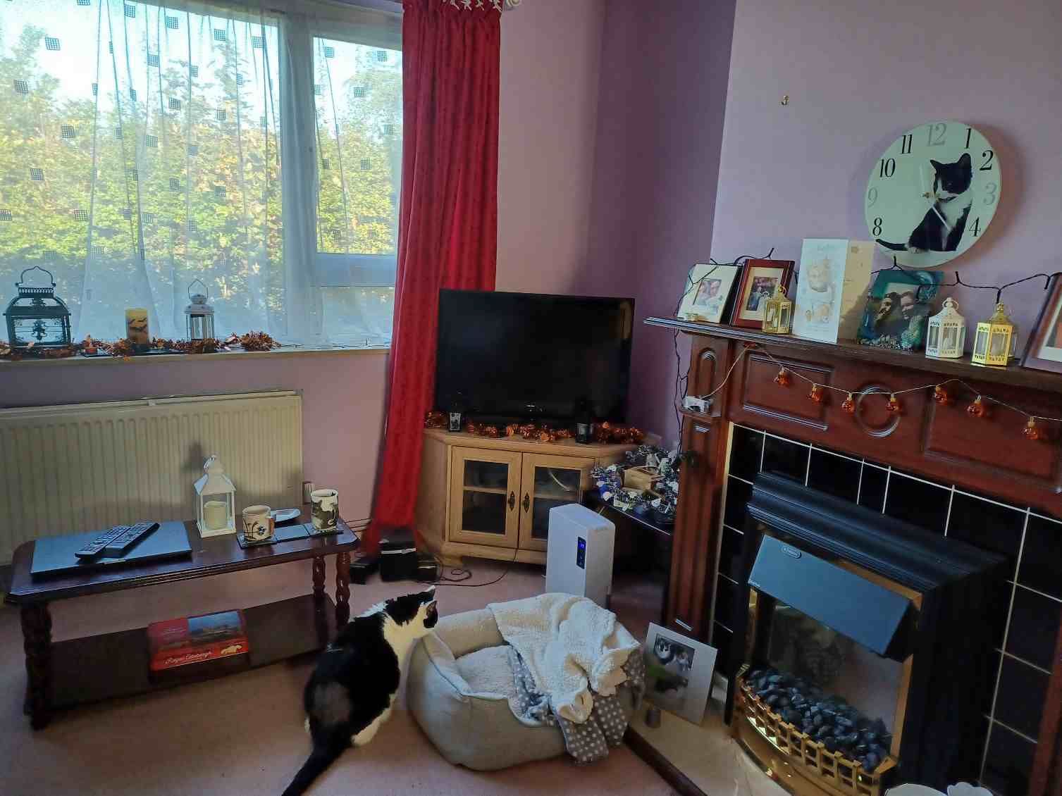 1 bed bungalow house exchange in Knutsford - Living Room